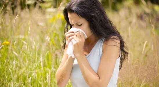 Does desensitization against pollen allergy really work