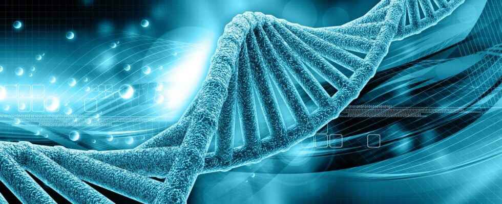 Genetics what are the hereditary characteristics