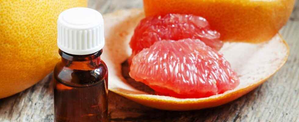 Grapefruit slimming oil