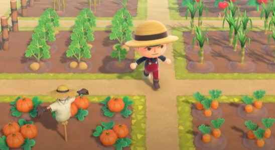 How to grow the new vegetables in Animal Crossing New