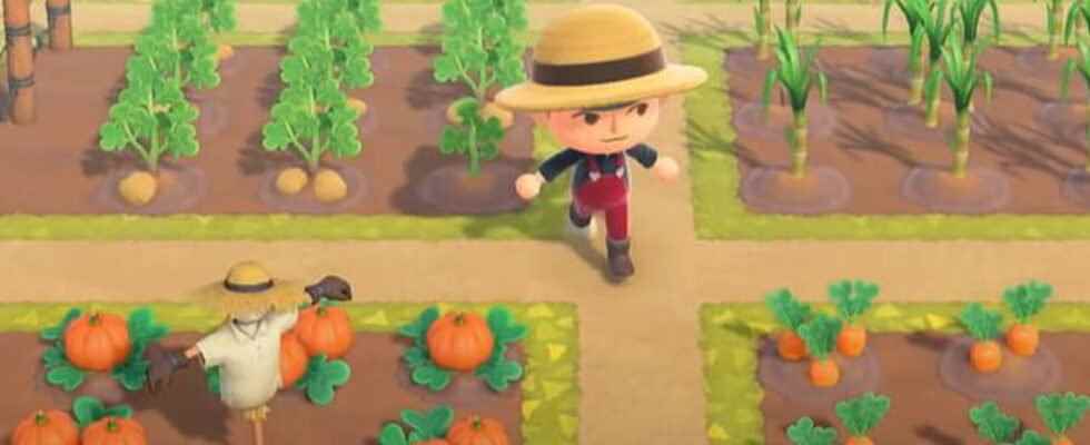 How to grow the new vegetables in Animal Crossing New
