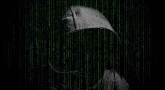 Karakurt the hacker group that is shaking the internet