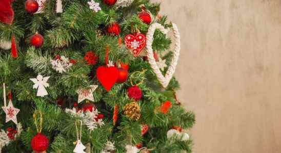 Natural or artificial Christmas tree which is more ecological
