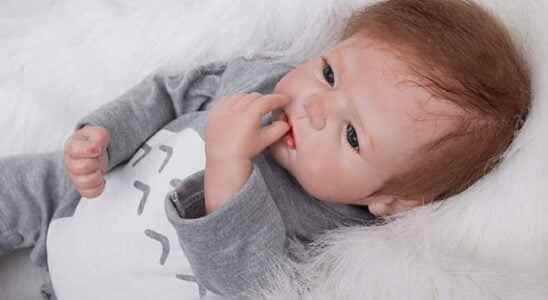 Reborn baby the most realistic dolls