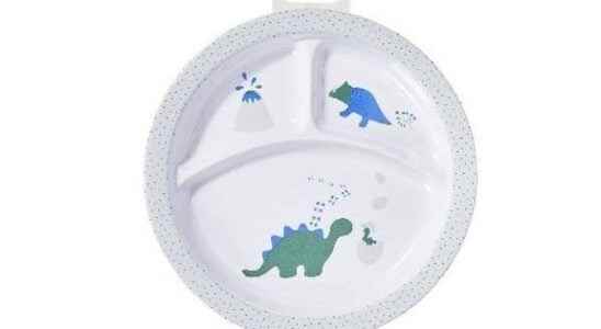 Recall of TEX brand baby plates