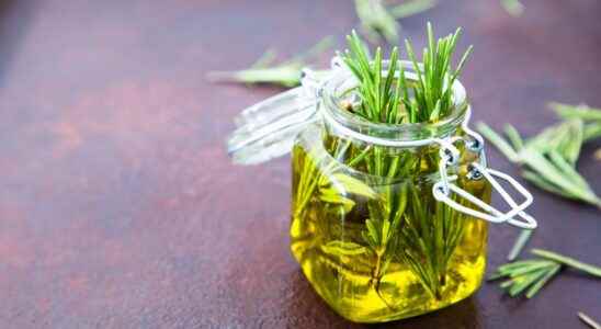 Rosemary hair oil for oily hair