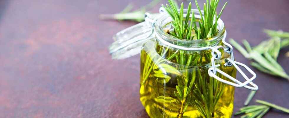 Rosemary hair oil for oily hair