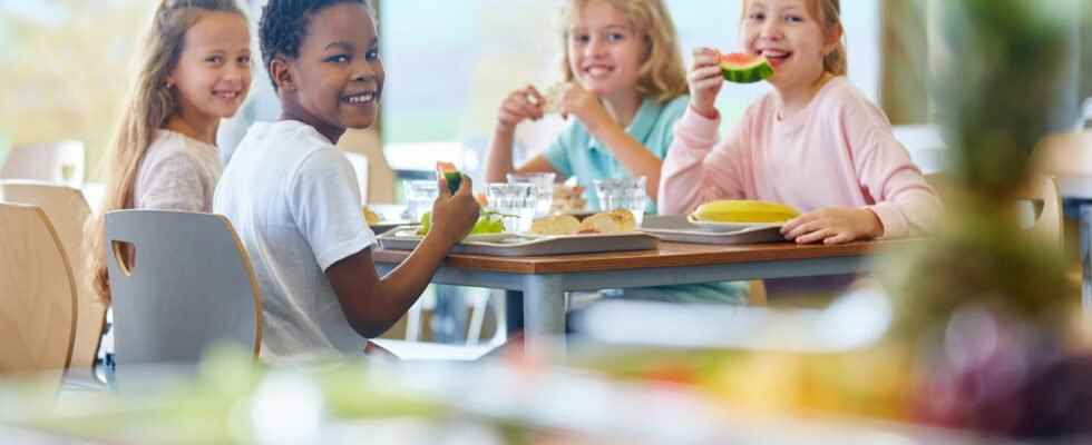 School canteens what protocol for meals