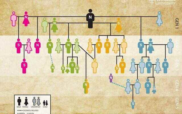 Scientists uncover the worlds oldest family tree with DNA analysis