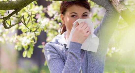 Seasonal allergy the oligo you need