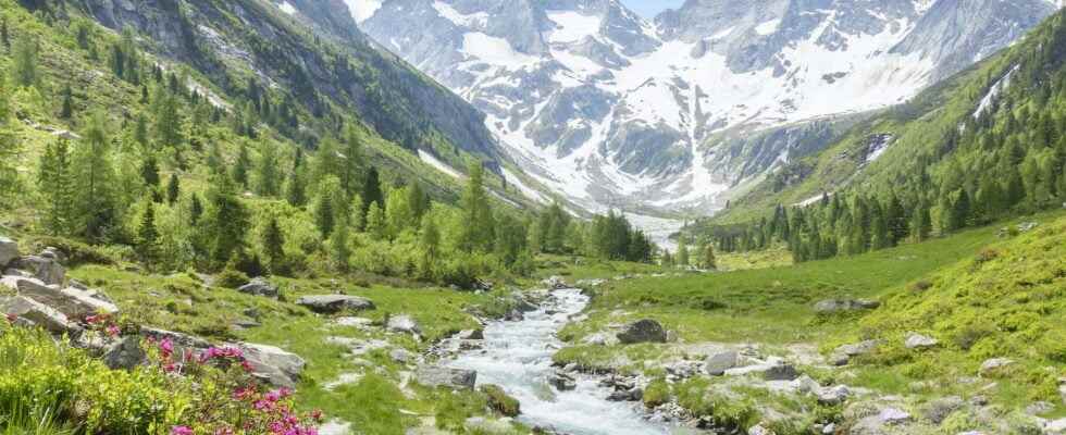 The Alps are the most threatened massif in the world