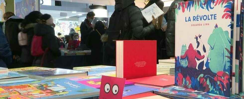 The Childrens Book and Press Fair in Montreuil