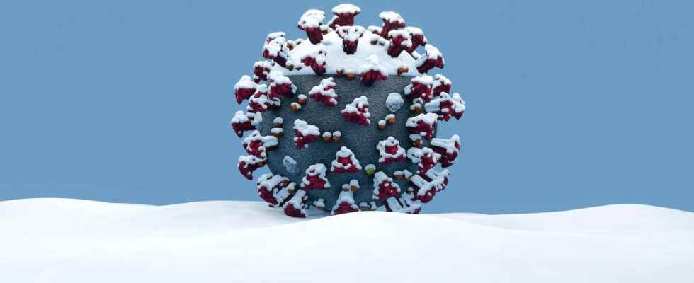 There is a biological reason why the coronavirus is seasonal