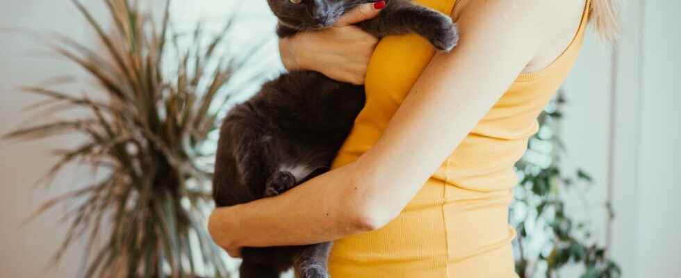 Toxoplasmosis and pregnancy symptoms prohibited foods advice