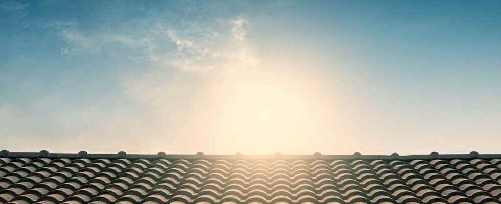 What if your roof saves you energy