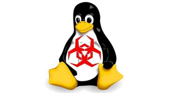 12 Year Old Flaw Grants Full Rights in All GNULinux Distributions