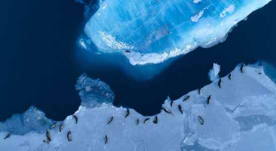 Antarctica Something Dramatic is Underway Warn Authors of 150 Year Data