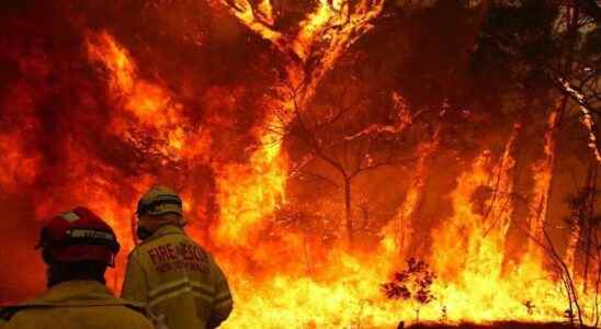 Australias mega fires reportedly had huge impact on residents health