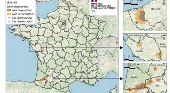 Avian flu symptoms in France in which departments