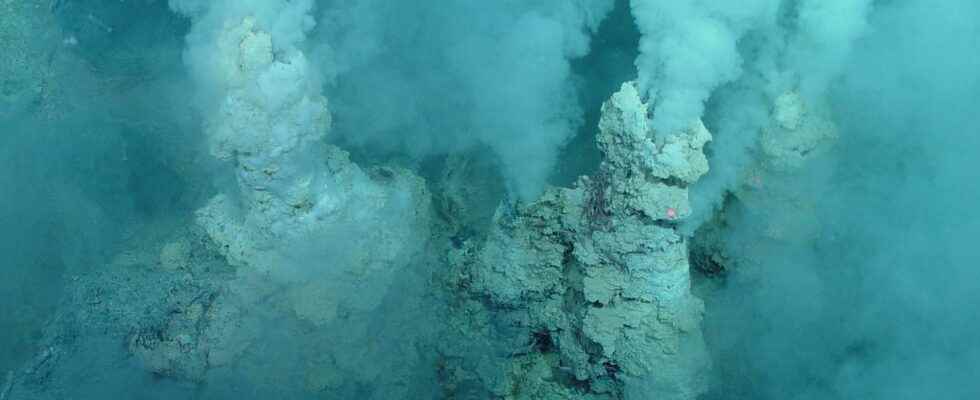 Bacteria in hydrothermal vents are great energy powerhouses