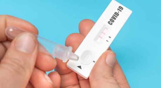 Covid recovery certificate vaccination pass obtaining validity