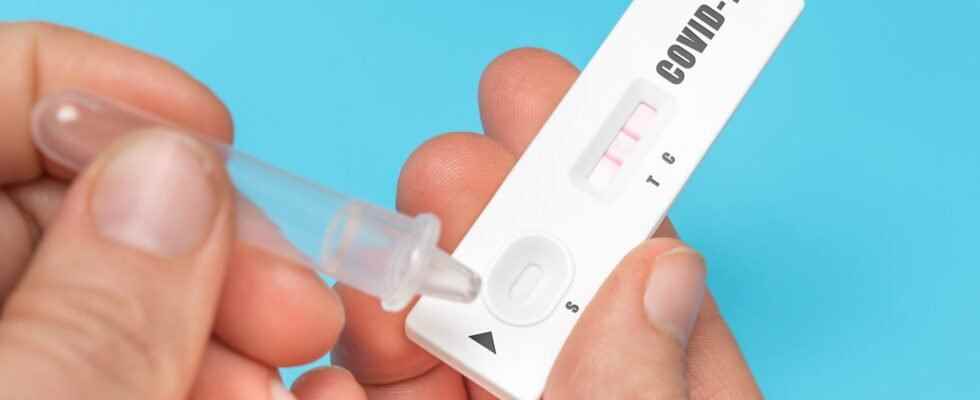 Covid recovery certificate vaccination pass obtaining validity