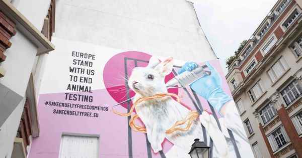 Dove and The Body Shop team up to fight animal