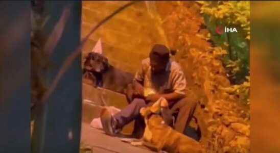 Emotional image Colombian homeless man celebrates his birthday with dogs