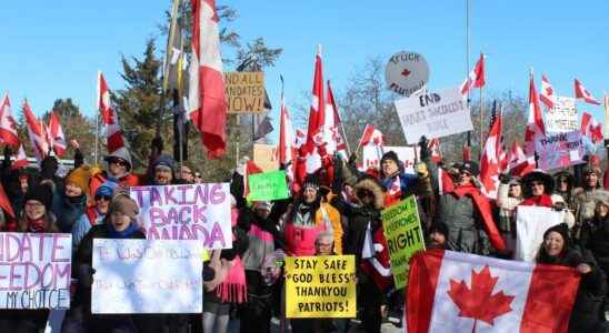Enough is enough say protesters at Simcoe rally