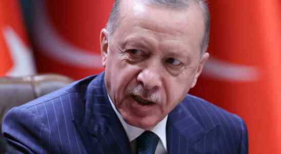 Erdogan fires head of national statistics agency over inflation data