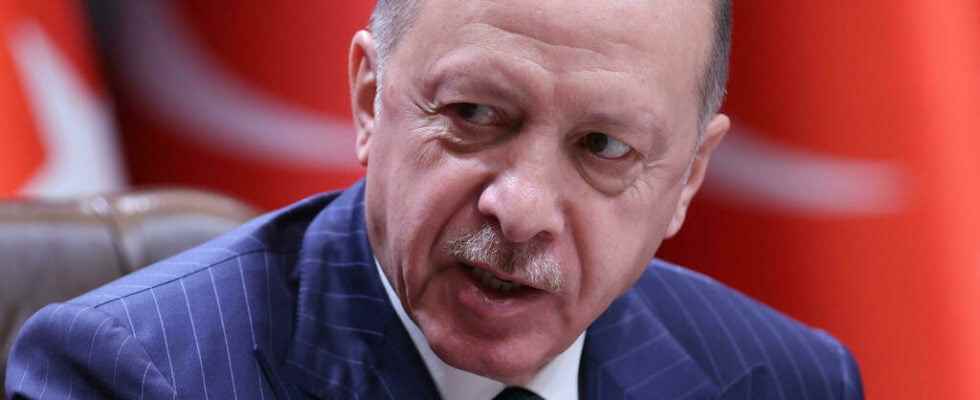 Erdogan fires head of national statistics agency over inflation data