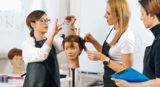 Hairdressing professions how to convert