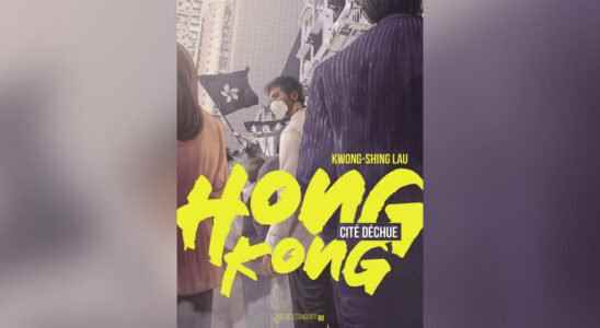 Hong Kong Fallen City by Lau Kwong Shing a critique of