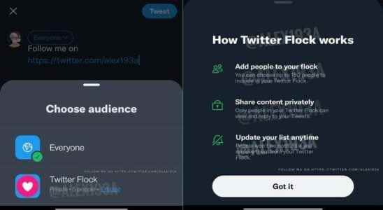 How to hide tweets on Twitter The feature that will