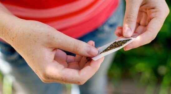 Less alcohol tobacco and cannabis among college students