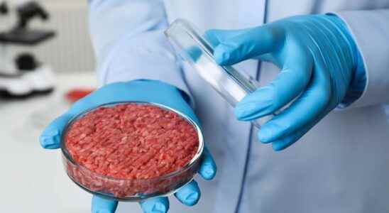 Meat in vitro A media bubble based on very weak