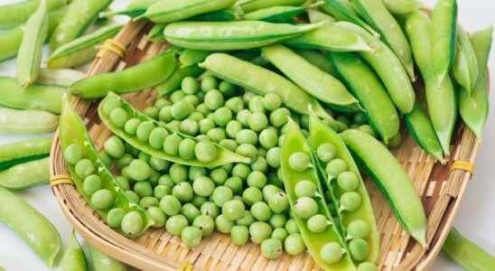 Peas when and how to sow them