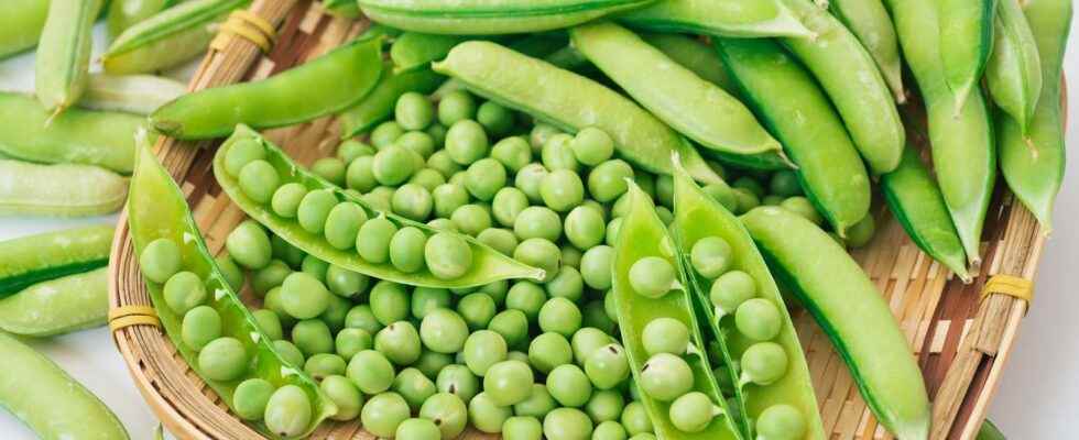 Peas when and how to sow them