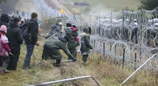 Poland begins construction of Belarusian border wall