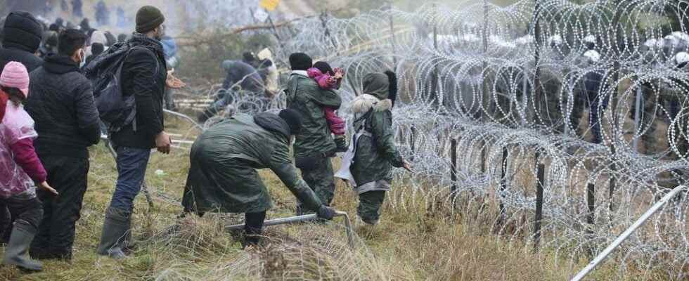 Poland begins construction of Belarusian border wall