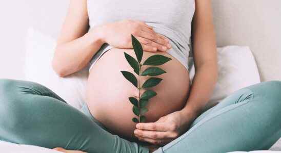 Pregnancy 4 natural solutions to stay calm before and during