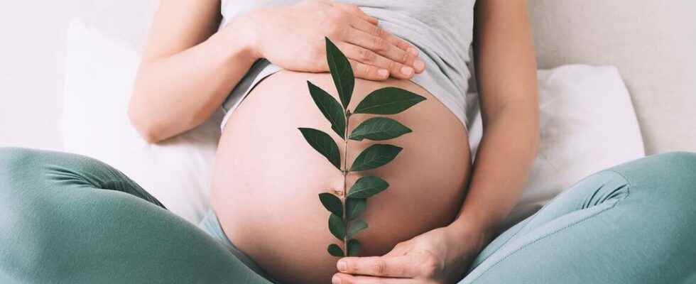 Pregnancy 4 natural solutions to stay calm before and during