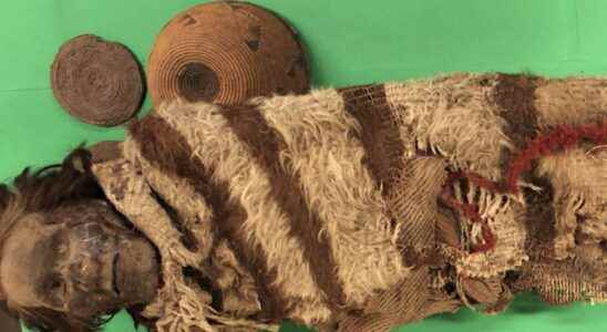 Researchers have been able to study the DNA of mummies