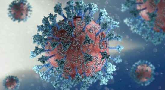 SARS CoV 2 variants Our T cells are reason for optimism