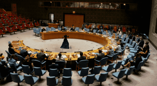 Sanctions against Mali divide UN Security Council