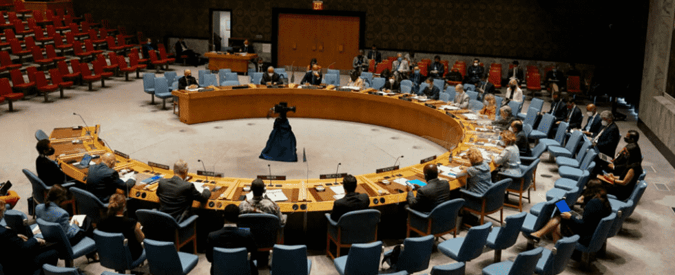 Sanctions against Mali divide UN Security Council