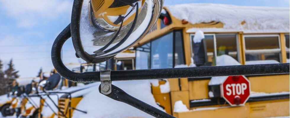 School bus operators plea for patience as driver shortage causes