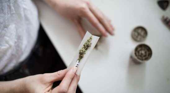 Using cannabis as a teenager would increase the risk of
