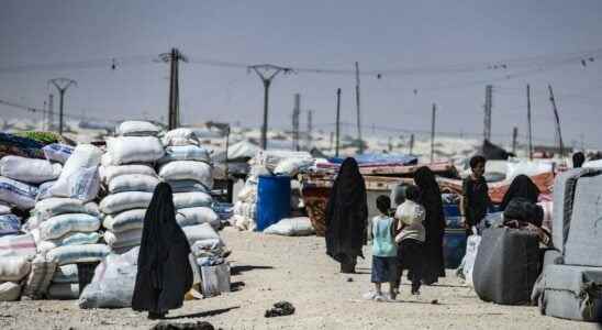aid workers in al Hol camp under threat from the IS