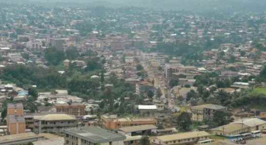 an opposition senator shot dead in the street in Bamenda